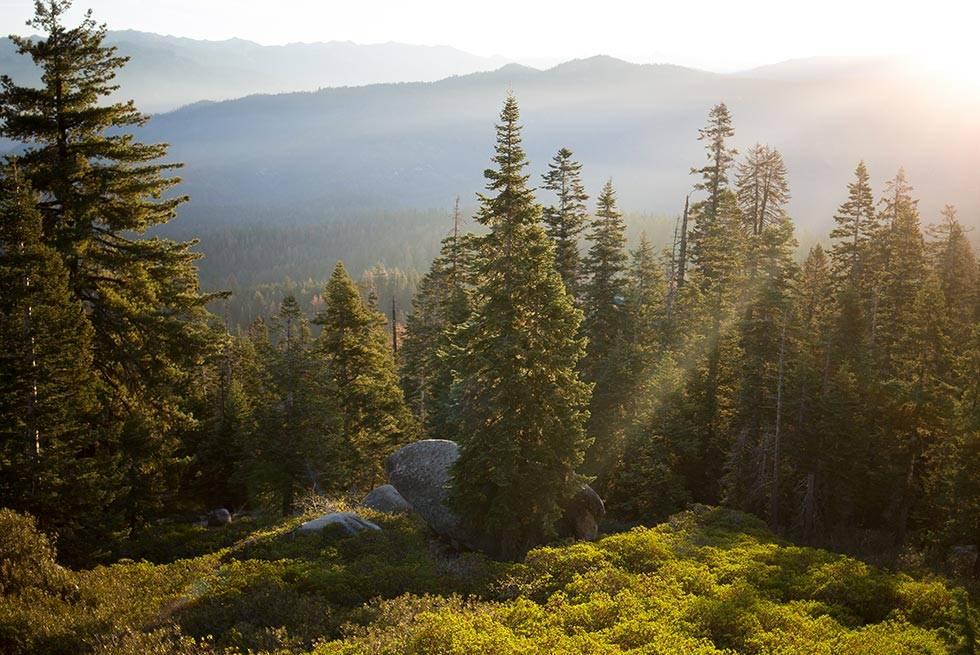 John Muir Lodge Hume Eksteriør billede